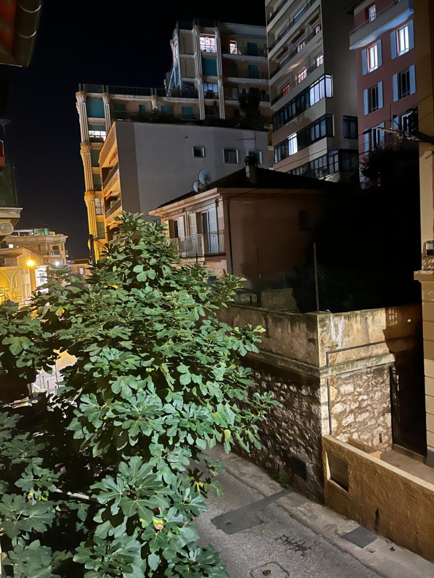 Апартаменты Duplex A La Frontiere De Monaco Босолей Экстерьер фото